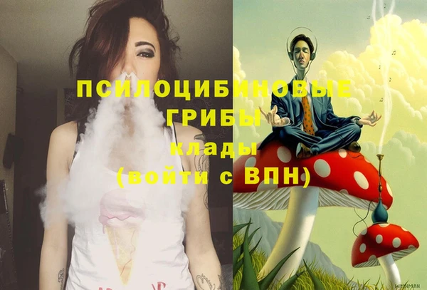 прущая мука Волоколамск