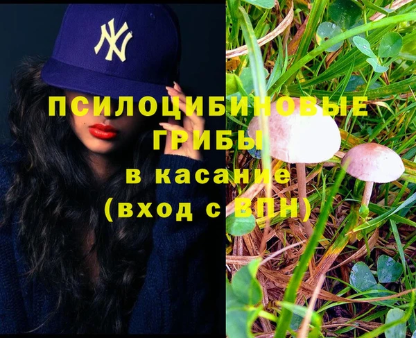 прущая мука Верея